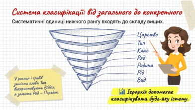 0901ubwi-2546-271x153.png