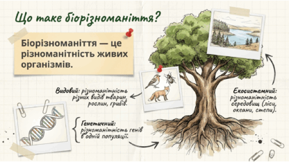 0901uc1d-a3ca-416x234.png