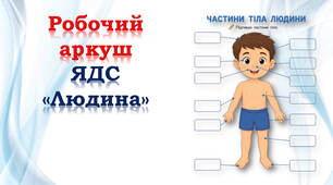 1 клас 💫 Робочий аркуш до теми "Людина" з ЯДС