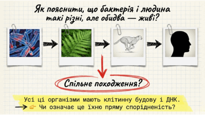 0901ue0j-7f0d-399x225.png