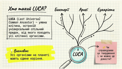 0901ue0x-0bb5-396x223.png