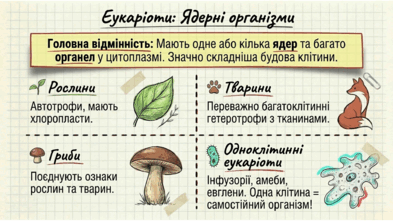 0901ue19-1d48-393x221.png