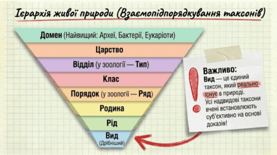 0901ue1i-98e0-392x220.png