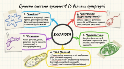 0901ue1s-d012-411x231.png