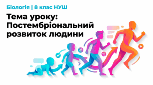 63 Постембріональний розвиток людини