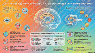 Перша і друга сигнальні системи. Фізіологічні основи мовлення. Навчання, пам’ять, мислення та свідомість. Презентація, відео, робочий аркуш