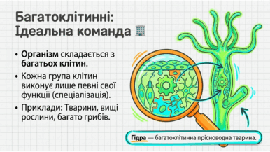 0901uo8y-9d22-386x217.png