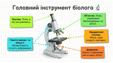 0901uo9a-5b9c-383x216.png