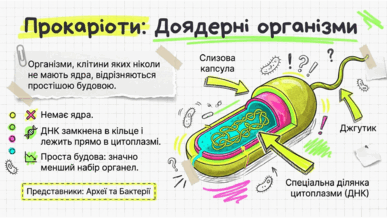 0901uoip-780c-387x218.png