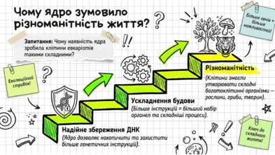 0901uoj7-841e-393x221.png