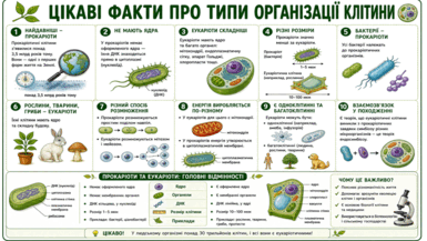 0901uok1-ec2d-385x217.png