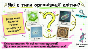 Які є типи організації клітин. 7 клас НУШ