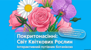 § 28. Покритонасінні, або Квіткові