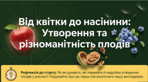 § 30. Утворення плодів. Різноманітність плодів