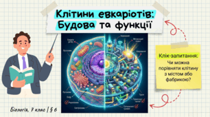 Які особливості будови клітин евкаріотів. 7 клас НУШ.