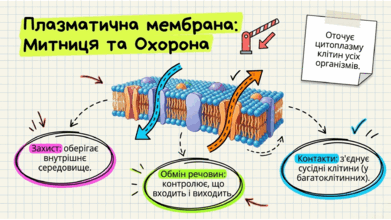 0901upnx-198f-391x220.png