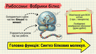 0901upou-baa4-377x212.png