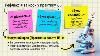 0901upp0-91f8-382x215.png