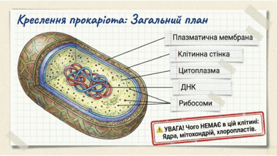 0901upyk-4beb-389x219.png