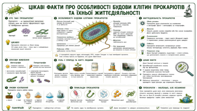 0901upzc-ea4a-399x225.png