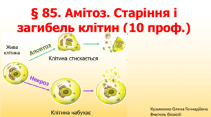 § 85. Амітоз. Старіння і загибель клітин (10 проф.)