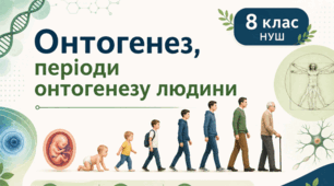 Матеріали до уроку. 👶➡️🧑➡️👵Онтогенез, періоди онтогенезу людини. 8 кл НУШ Відео, презентація, інфографіка