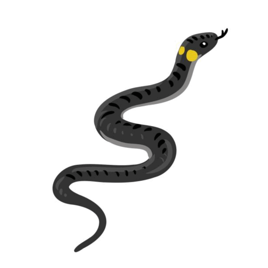 0901uutp-34f7-940x940.png