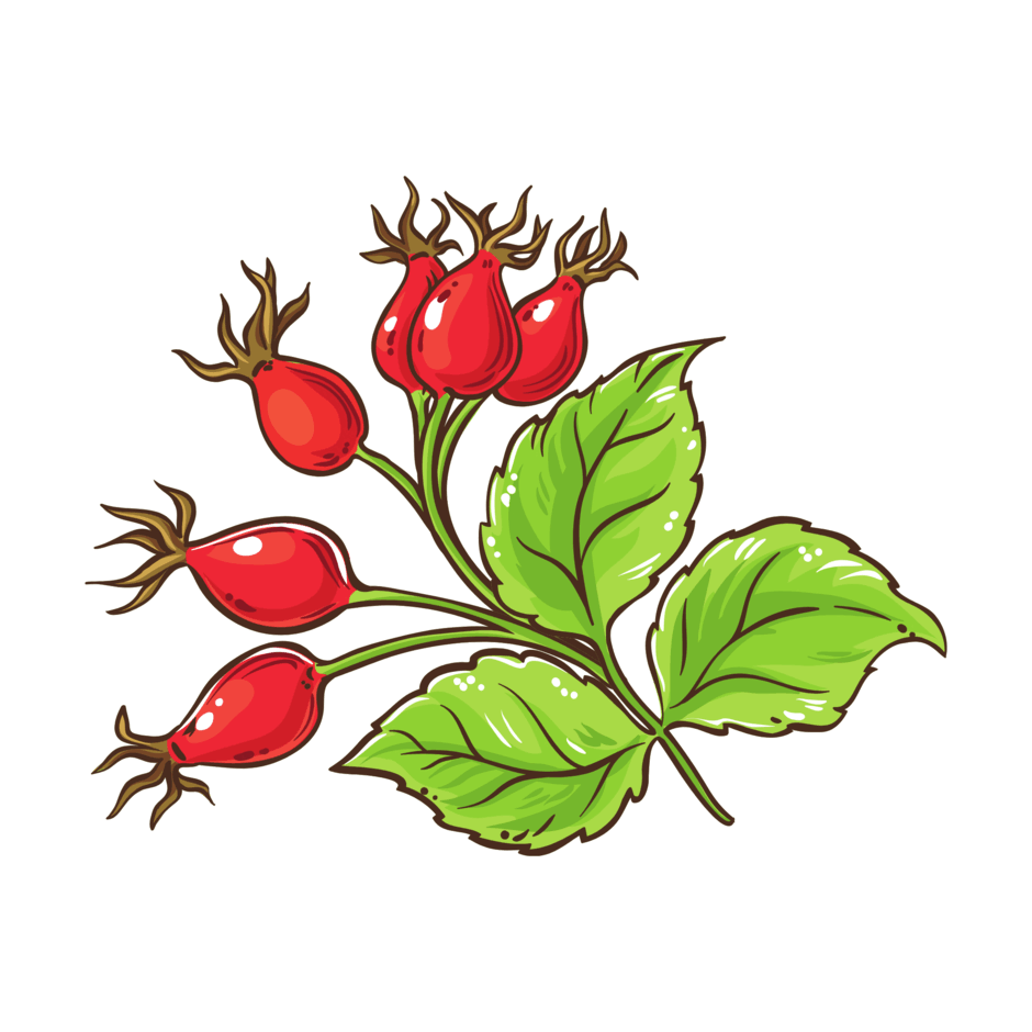 0901uv0w-31a5-940x940.png