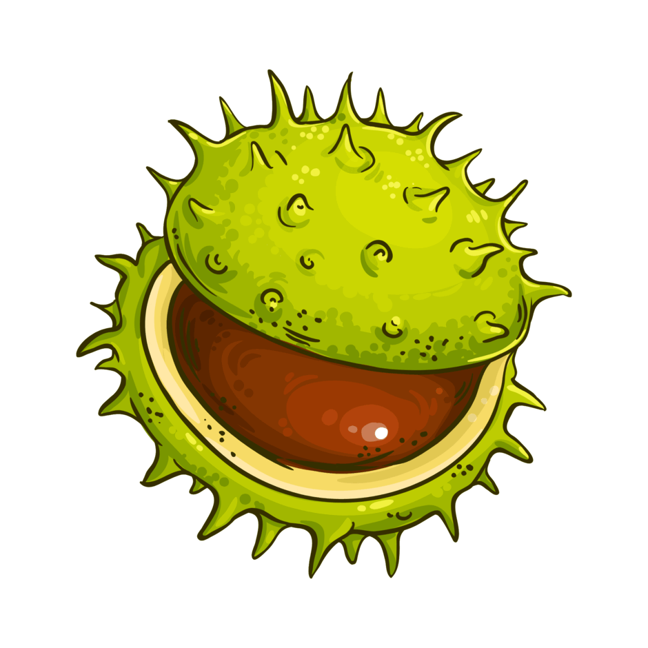 0901uv24-6781-940x940.png