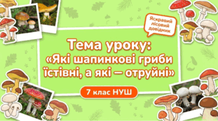 Презентація "Які шапинкові гриби їстівні, а які — отруйні" 7 НУШ