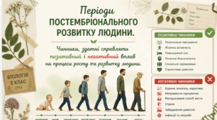 Матеріали до уроку. 👶➡️🧑➡️👵Періоди постембріонального розвитку людини. Чинники, здатні справляти позитивний і негативний вплив на процеси росту та розвитку людини. Відео, презентація, інфографіка