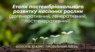 Презентація з біології "Етапи постембріонально розвитку насінних рослин (догенеративний, генеративний, постгенеративний). Профільний рівень.