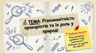 Яка різноманітність прокаріотів. Яка їхня роль у природі. 7 клас НУШ.