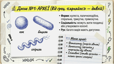 0901v0jn-700d-400x225.png