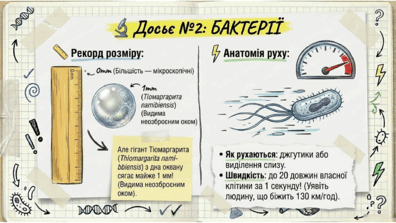 0901v0jy-de2c-396x223.png