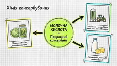0901v0sa-b398-384x217.png
