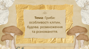 Презентація з біології на тему: «Гриби: особливості клітин, будова, розмноження та різноманіття грибів» — готовий навчальний матеріал зі схемами, таблицями, прикладами та ілюстраціями для уроків і навчання. Біологія (Тагліна) 7 клас 2024