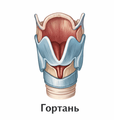 0901v5uj-b9bc-388x408.png