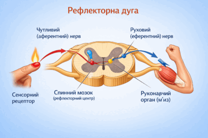 0901v6d7-71dc-415x276.png