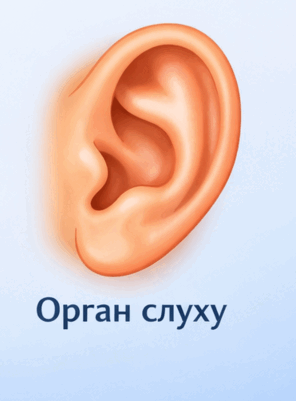 0901v6hn-4d7a-296x401.png