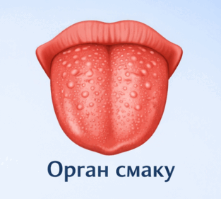 0901v6hu-74c1-313x281.png