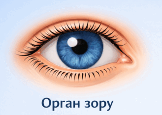 0901v6i2-d54c-329x234.png
