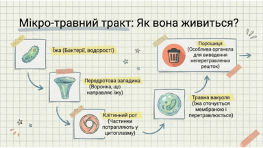 0901v6xc-51a3-384x216.png