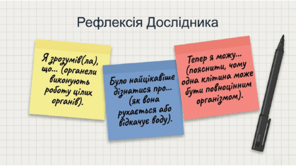 0901v6y2-c7a2-419x236.png