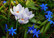 0901vbwj-725d-181x128.png