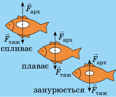 0901vcd7-4e13-404x339.png