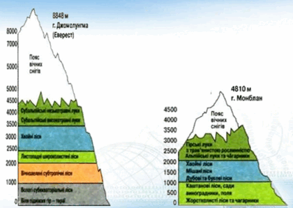 0901vd7o-6105-420x298.png