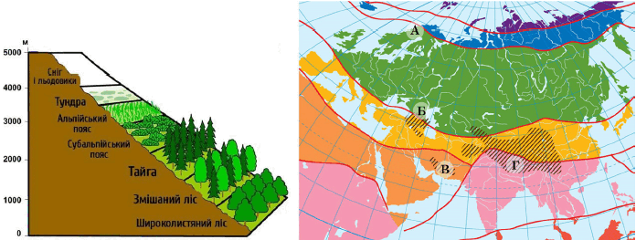 0901vijp-765d-696x263.png