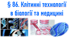 § 86. Клітинні технології в біології та медицині 