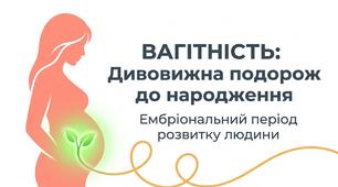 Презентація: "Вагітність. Ембріональний період розвитку людини" біологія 8 клас НУШ
